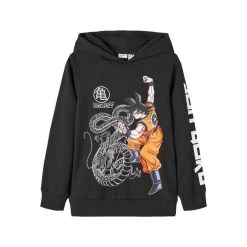 Sweat à Capuche Dragon Ball "NKMJABIRU DRAGONBALL SWEAT WH BRU VDE" NAME IT