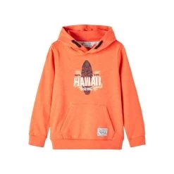 Sweat à Capuche "NKMDAGOR LS SWEAT W HOOD UNB" NAME IT