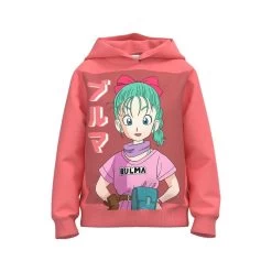 Sweat Manches Longues à Capuche Dragon Ball "NKFJUS DRAGONBALL SWEAT WH BRU NOOS VDE" NAME IT